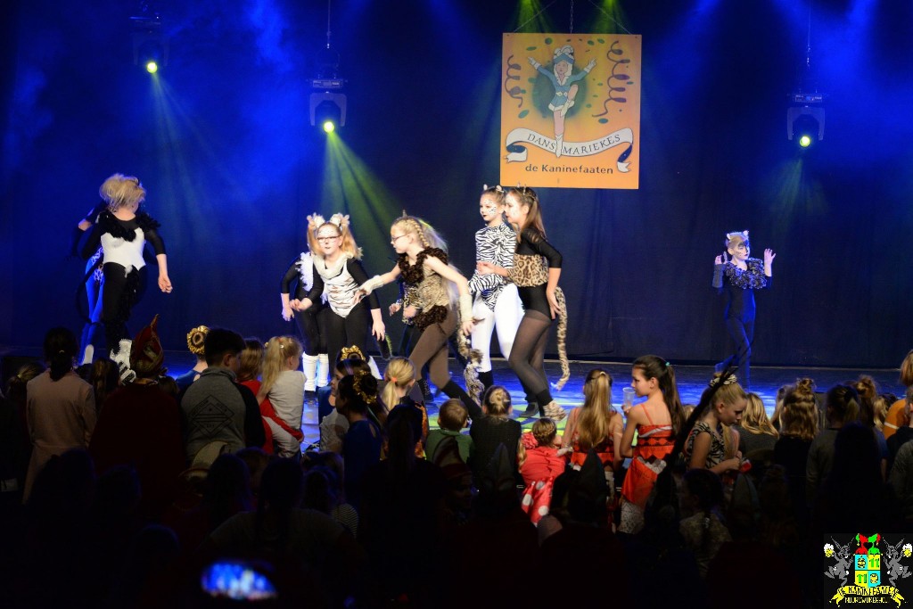 ../Images/Dansmariekefestival 2020 345.jpg